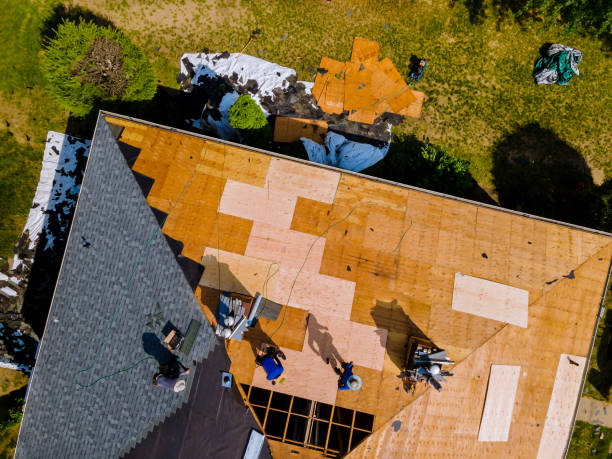 Best Roof Maintenance Services  in Carrizozo, NM