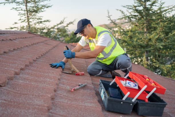 Best Shingle Roofing Installation  in Carrizozo, NM