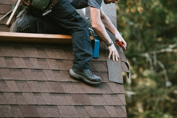 Best Roof Waterproofing Services  in Carrizozo, NM